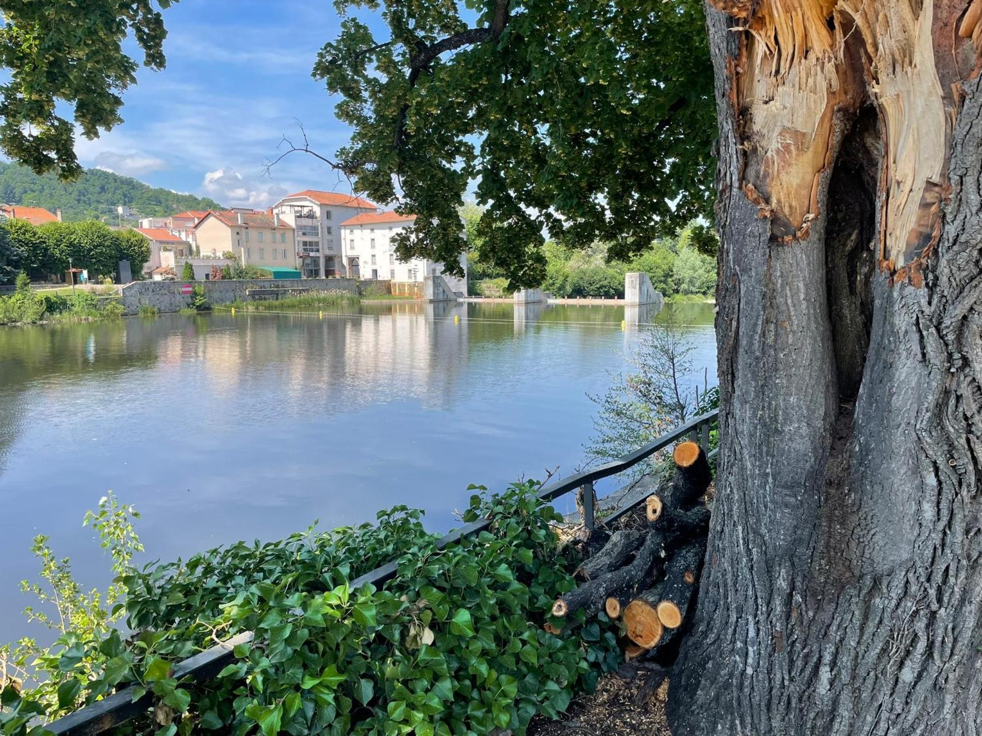 Вилла La Brivoise - Maison Calme Et Cosy , Wifi, A 5Min Du Puy Brives-Charensac Экстерьер фото